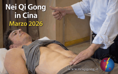 Viaggio in Cina Nei Qi Gong – Marzo 2026 tra pratica, Fa Qi e trattamenti energetici