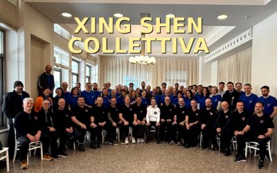 Xing Shen Collettiva 2026 – Due giorni di pratica reale del Nei Qi Gong