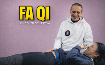 Esperienza di Fa Qi alla Xing Shen Collettiva 2026